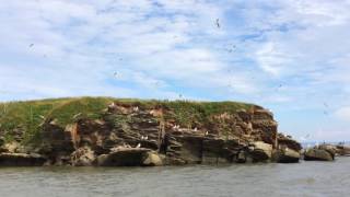 Grindstone Island