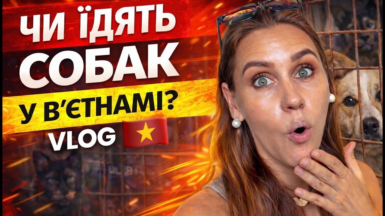 Чи їдять собак у Вʼєтнамі? І яке мʼясо можна купити в місцевих магазинах | Vlog з життя у Вʼєтнамі