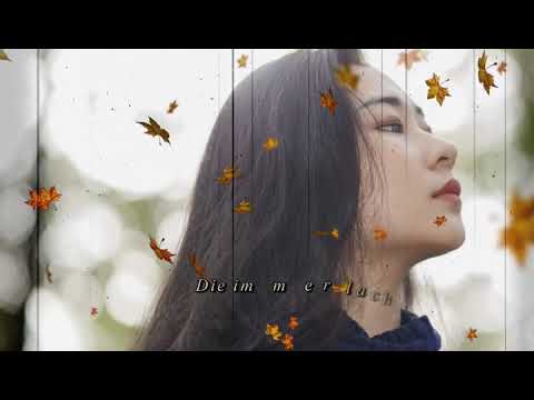 [KARA + VIETSUB] Die Immer Lacht - Stereoact feat. Kerstin Ott