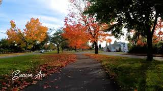 Fall'n in love with autumn in Seattle