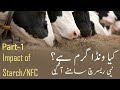 Impact of starchnfc on reproduction of cows part1