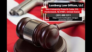 Gun Possession Lawyer by Adam M. Lustberg