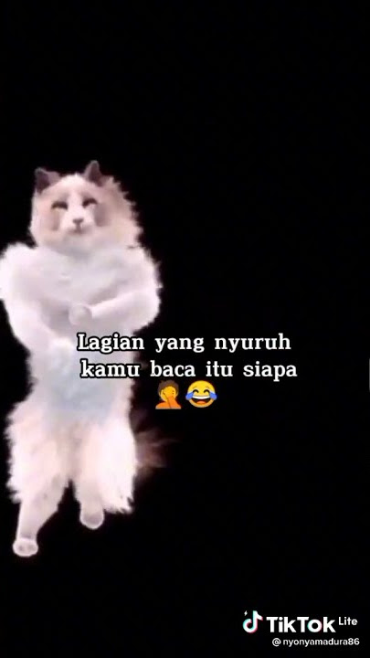 jangan di baca ya bos😂😂