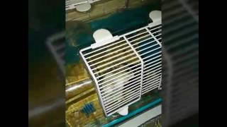 Jest Pompa 1W Nocy Nie Ma Lipy Trening Sam,Sie Nie Zrobi