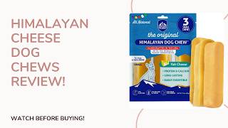 Natural Dog Chews Tested | Himalayan Dog Chew Honest Review