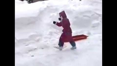 Taylor Swift - Christmas Tree Farm (Official Video)