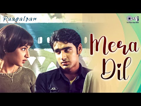 Mera Dil | Paagalpan | Karan Nath, Aarti Agarwal | Srinivas, K. S. Chithra | Hindi Love Song