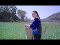 SUNKO SIKRI || Suresh Lama || Ft. Talisha Gurung, Nup Gurung, Sonakxi Mahat || Nepali Song 2024 Mp3 Song