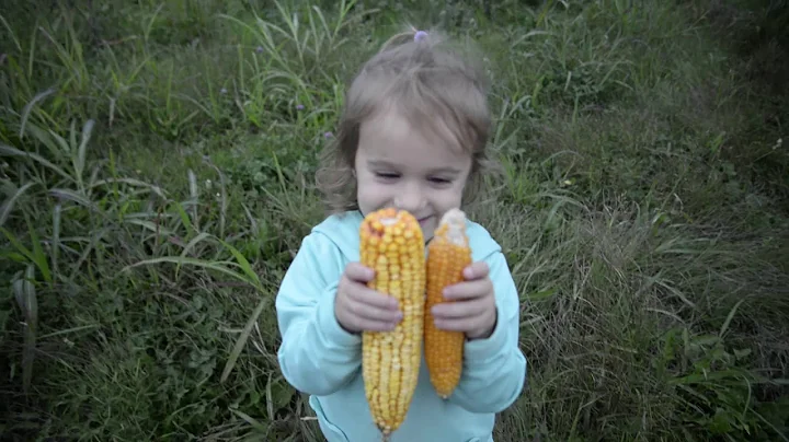 Southern Ohio grain, popcorn and beef farmers Greg...