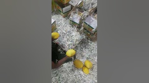 Fruits Export Packaging #export #fruit #packaging #uae #qutar #exporter