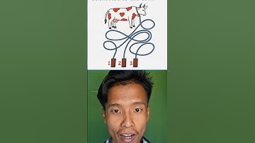 Kaham khe Nasik di 👀🤔🔥 #shorts #youtubeshorts #iqtest #iqchallenge #braintest #riddles