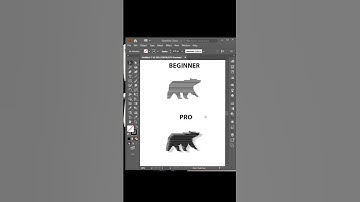 Adobe Illustrator 2026 – Tips to create horizontal application logo using Slipt Path script
