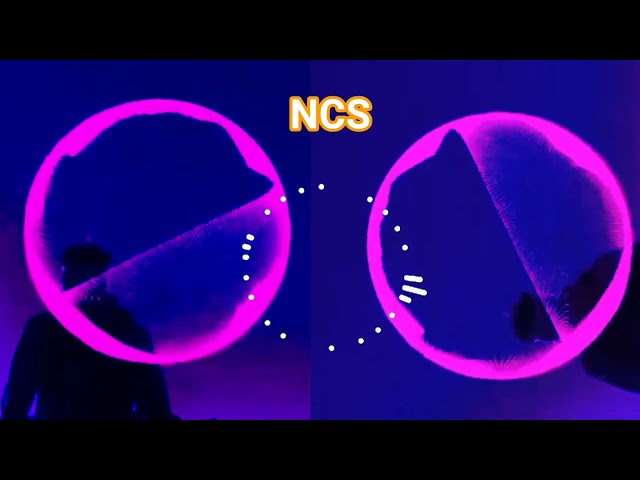 The Best Songs NCS (fhotz channel). class=