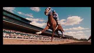 Secretariat -   'O Happy Day '