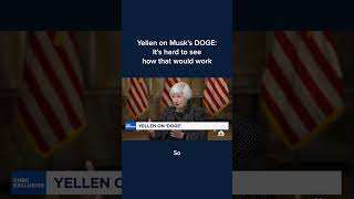Celebrity Yellen on Musk's DOGE: It's hard to see how that would work Net Worth