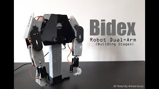Bidex Robot Dual-Arm (Building Stages)