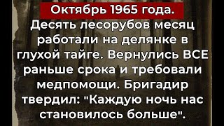 видео: Бригада лесорубов вышла из тайги через месяц. Все ДЕСЯТЬ требовали положить их в психушку картинка: Бригада лесорубов вышла из тайги через месяц. Все ДЕСЯТЬ требовали положить их в психушку