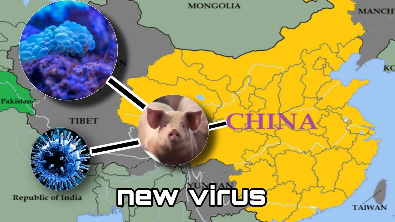 Newly-discovered langya virus infects 35 people in china CHINA ৰ পৰা বিয়পিব পাৰে নতুন virus ||আকৌ হব পাৰে বিশ্বব্যাপী মহামাৰী