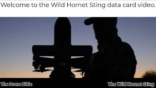 Wild Hornets Sting — Data Card Video | The Drone Bible