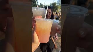 Gorgeous lavender festival in SoCal! 💜