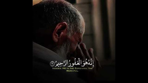 حالات #وتساب #تلاوة#خاشعة #اليمن#تعز#