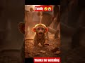 Bandar ki family Bichad gayi 😢😢 #shorts #trending #reels #jumpstyle #youtubeshorts #aestheic