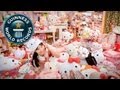 Largest hello kitty collection  guinness world records  guinness world records