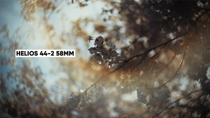 Helios 44-2 58m f2  VS. Sigma 24-70mm f2.8 on the Sony a7siii - DayDayNews