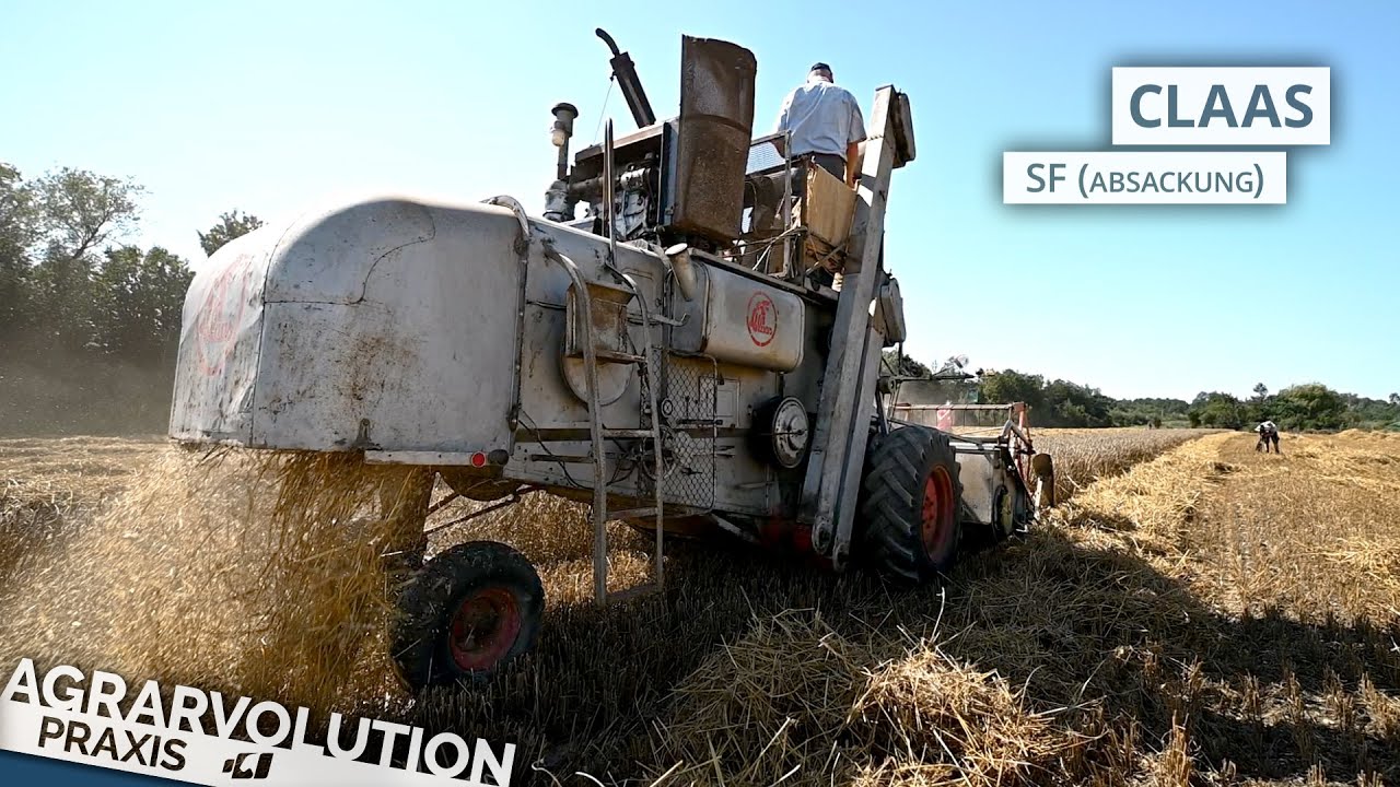 Claas SF (Absackung) • Weizendreschen | Agrarvolution Praxis