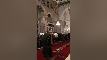 صلاة العشاء من جامع بني أمية الكبير ليوم السبت ١٩ ربيع الآخر ١٤٤٧ ه‍ تلاوة القارئ عامر أحمد المهلهل