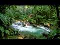 Natural River Stream White Noise | Relaxing Water Flow for Sleeping Tonight, Deep Sleep Nature Sound