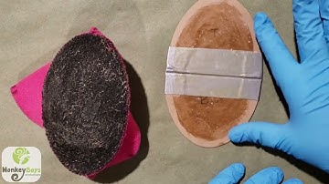 How to Glue in the Mouth Palate (Beginner and Intermediate Kits)