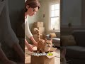 Paws and the Missing Toy 🎲