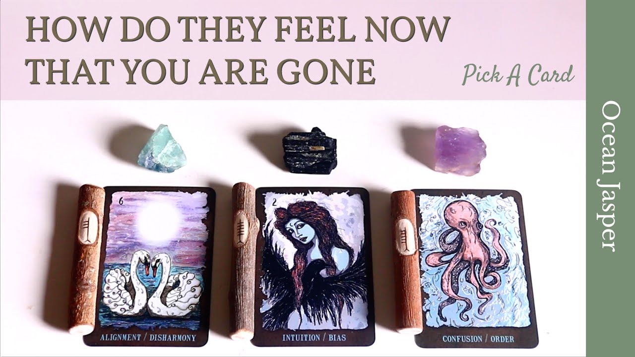 HOW DO THEY FEEL NOW THAT YOU ARE GONE 🍃🌸 Pick A Card Timeless Tarot Reading