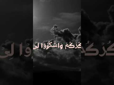 ف اذ ك ر و ن ى ا ذ ك ر ك م و اش ک ر و ا ل ى و ل ا ت ك ف ر و ن   