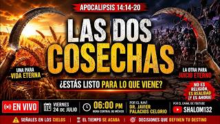 FINAL STRETCH 192 🌾 THE TWO HARVESTS — THEY WILL HAPPEN VERY SOON! Dr. Javier Palacios