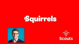 Matt Hyde talks to BBC’s World at One about Squirrel Scouts   9 Sept 2021