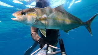 SALENTO pescasub:04 agosto 2019 SPEARFISHING ITALY