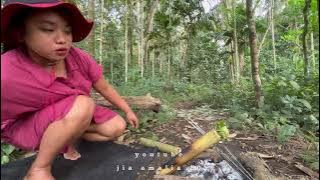 Cooking outdoors | Cooking steamed chicken and fern vegetables in the forest, using traditional t...