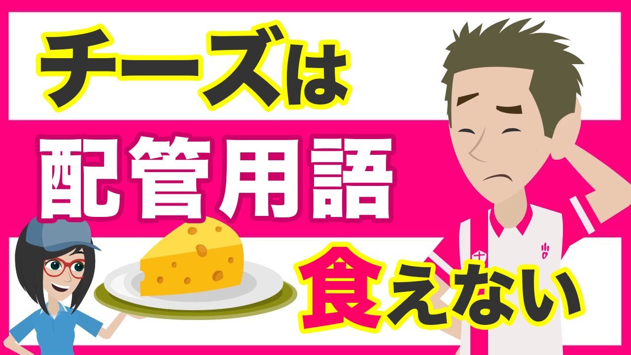 【水回り】知っておけば損はない！？配管屋さんの専門用語〜チーズは食べ物ではない【DIY初心者】