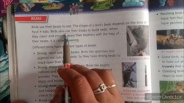 Class-3rd ,Subject-EVS,Chapter-9(Birds around us)