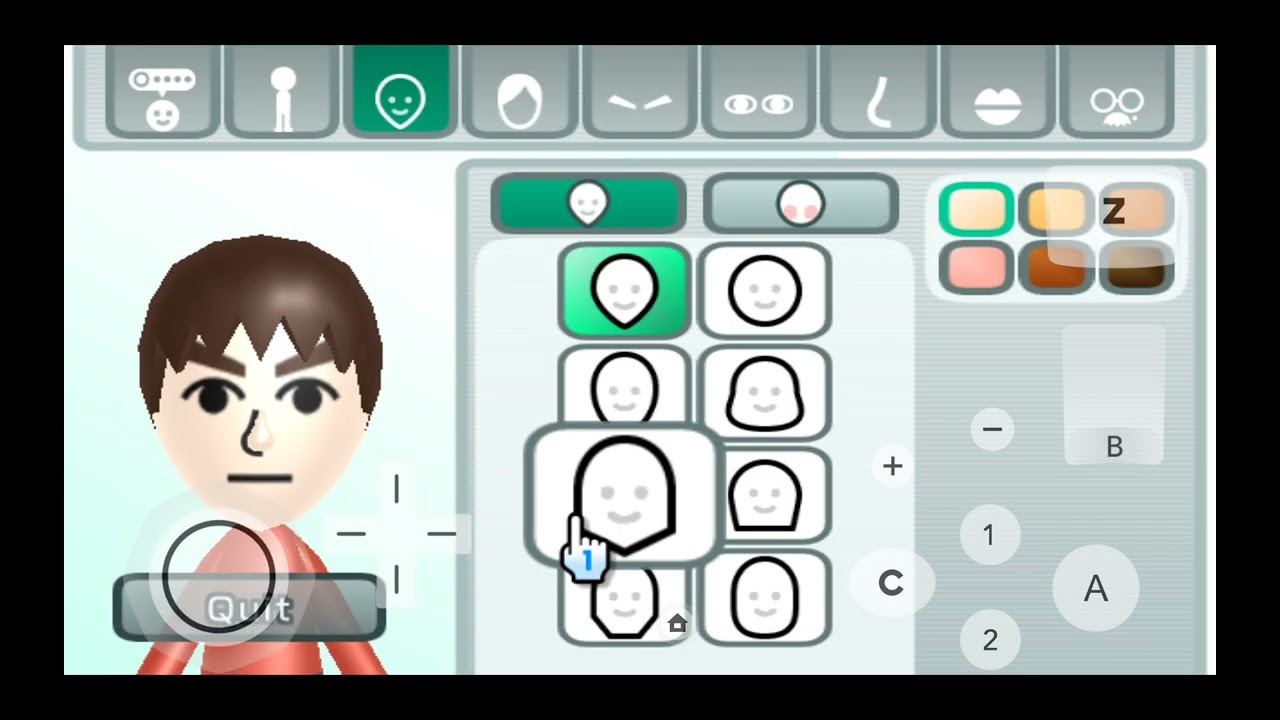running the Wii menu on dolphin emulator