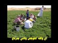 اي والله اهوجس ولاني بمرتاح