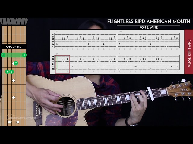 Flightless Bird, American Mouth sheet music for guitar (chords)