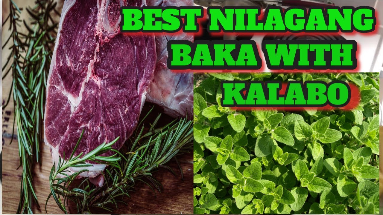 THE BEST NILAGANG BAKA WITH KALABO (OREGANO)