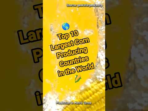 Which Country Is The Largest Producer Of Corn