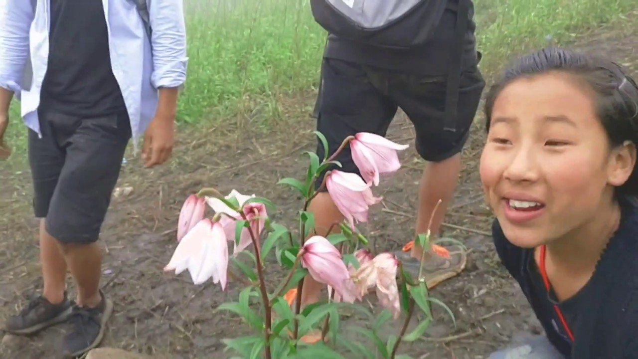 Shirui Kashong peak of Ukhrul - YouTube