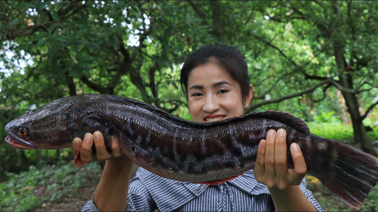 Aluminum Foil Grill Fish Cooking Grill fish in aluminum foil cooking