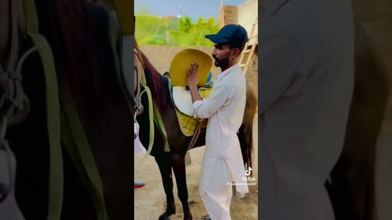 hammad pat house 🏠 hamzashekri