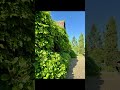 Faites le plein d'énergie, reposez-vous et apaisez-vous pour le week-end ou pendant la semaine.